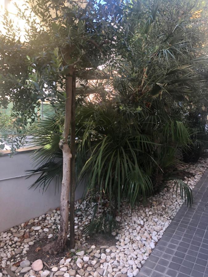 Ferienwohnung A Casa Minerva Rimini Exterior foto