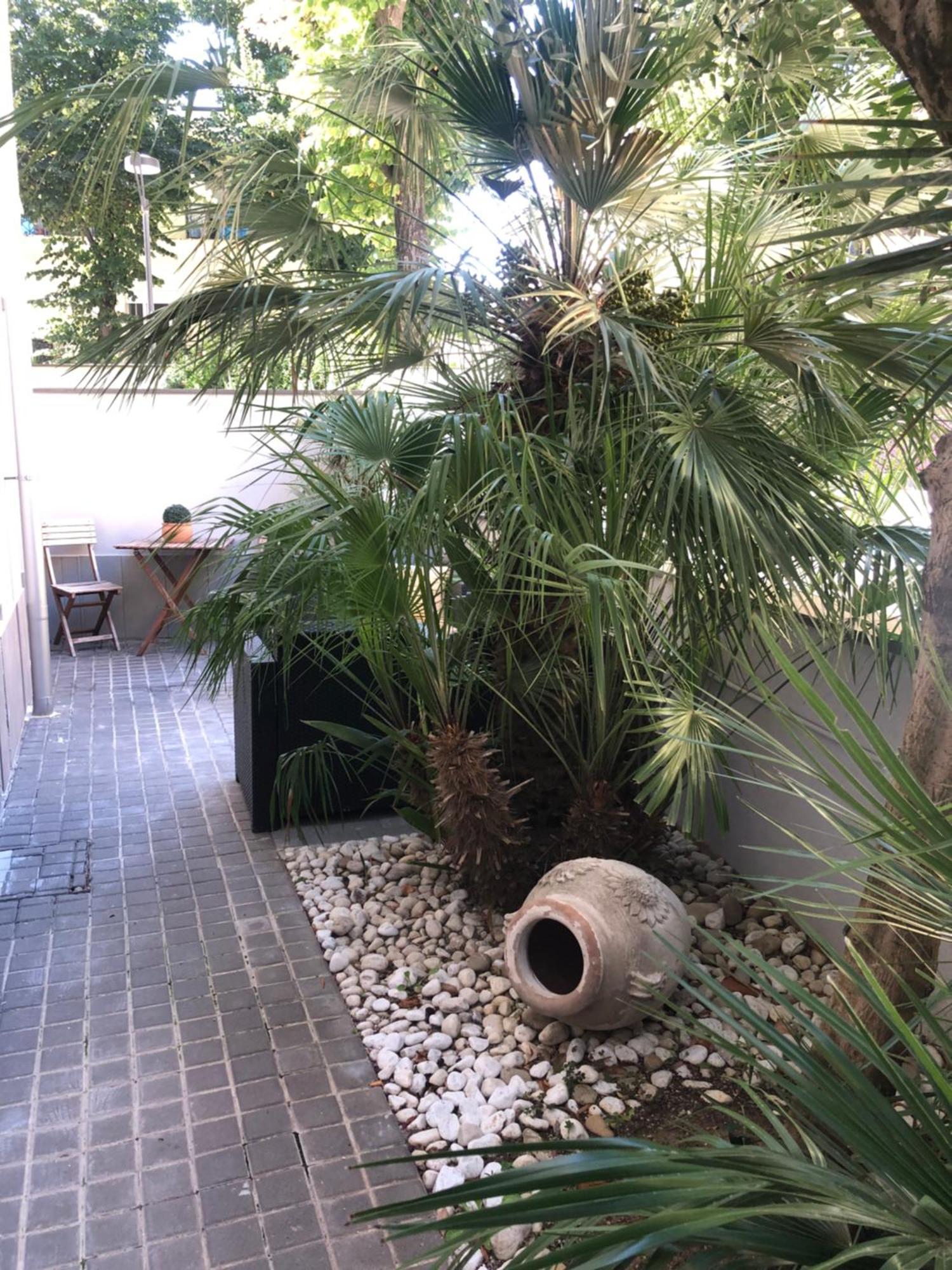 Ferienwohnung A Casa Minerva Rimini Exterior foto